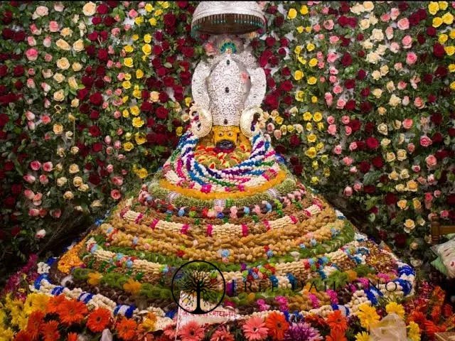 Khatu Shyam darshan